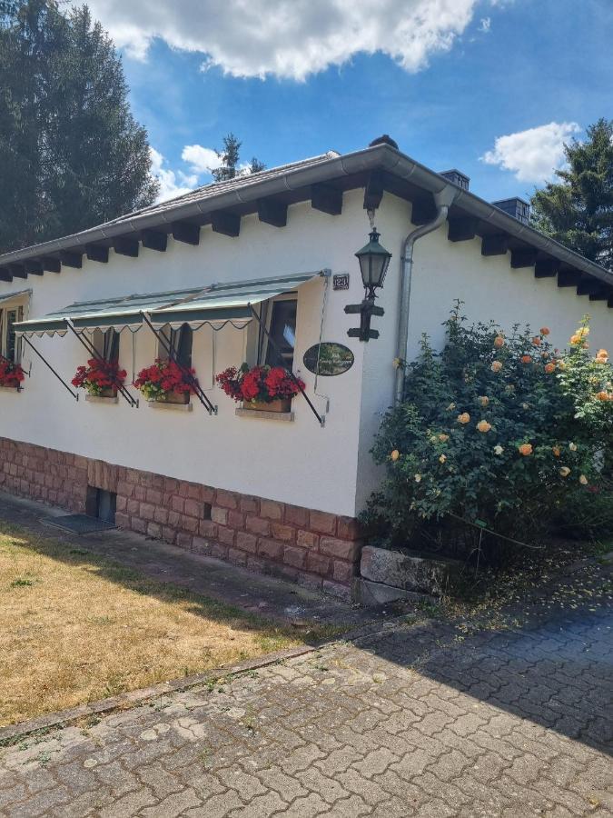 B&B Dressings Traumgarten Kaiserslautern Exteriér fotografie